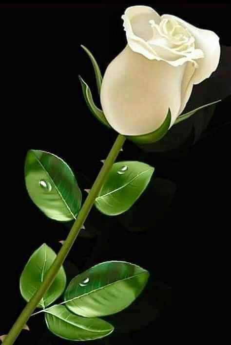 Photo shared by Jean Caston-Goss