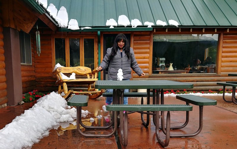 Connie Vincent - Photo 11