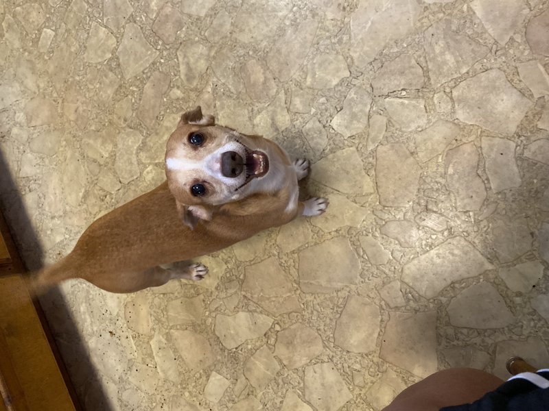 Malcolm Franklin Stewts - Photo 3