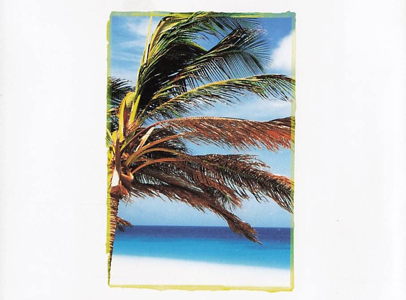 Wilmer E. Ishee, Sr. - Photo 6