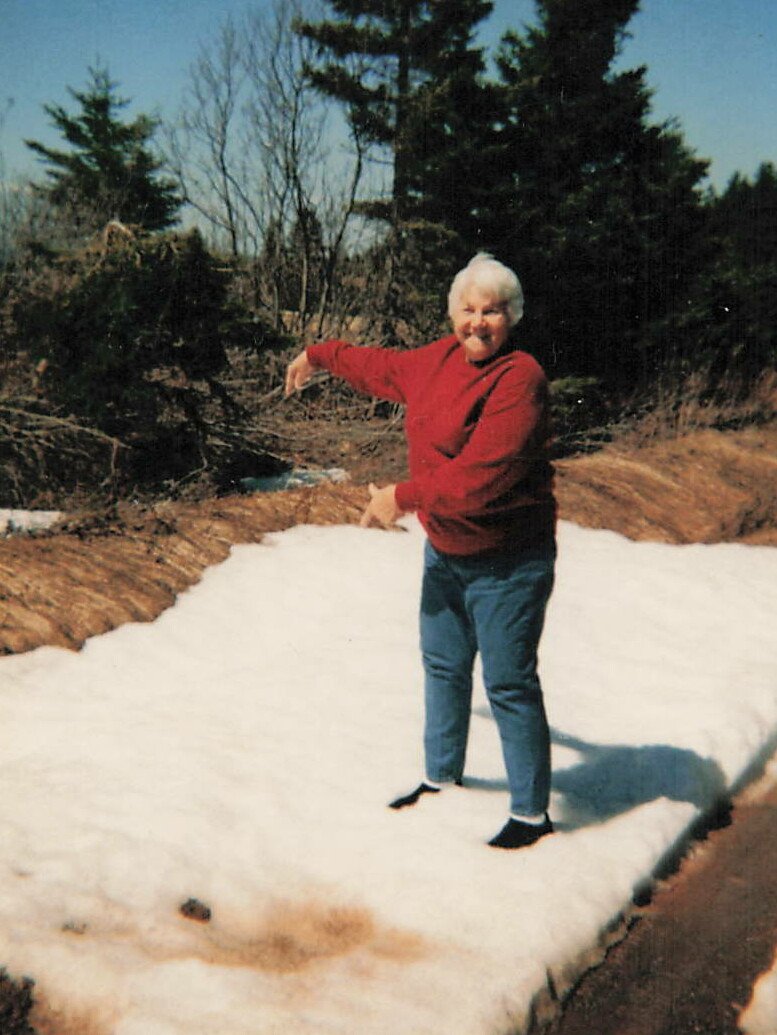 Jane Marlene Theall Thornell - Photo 11