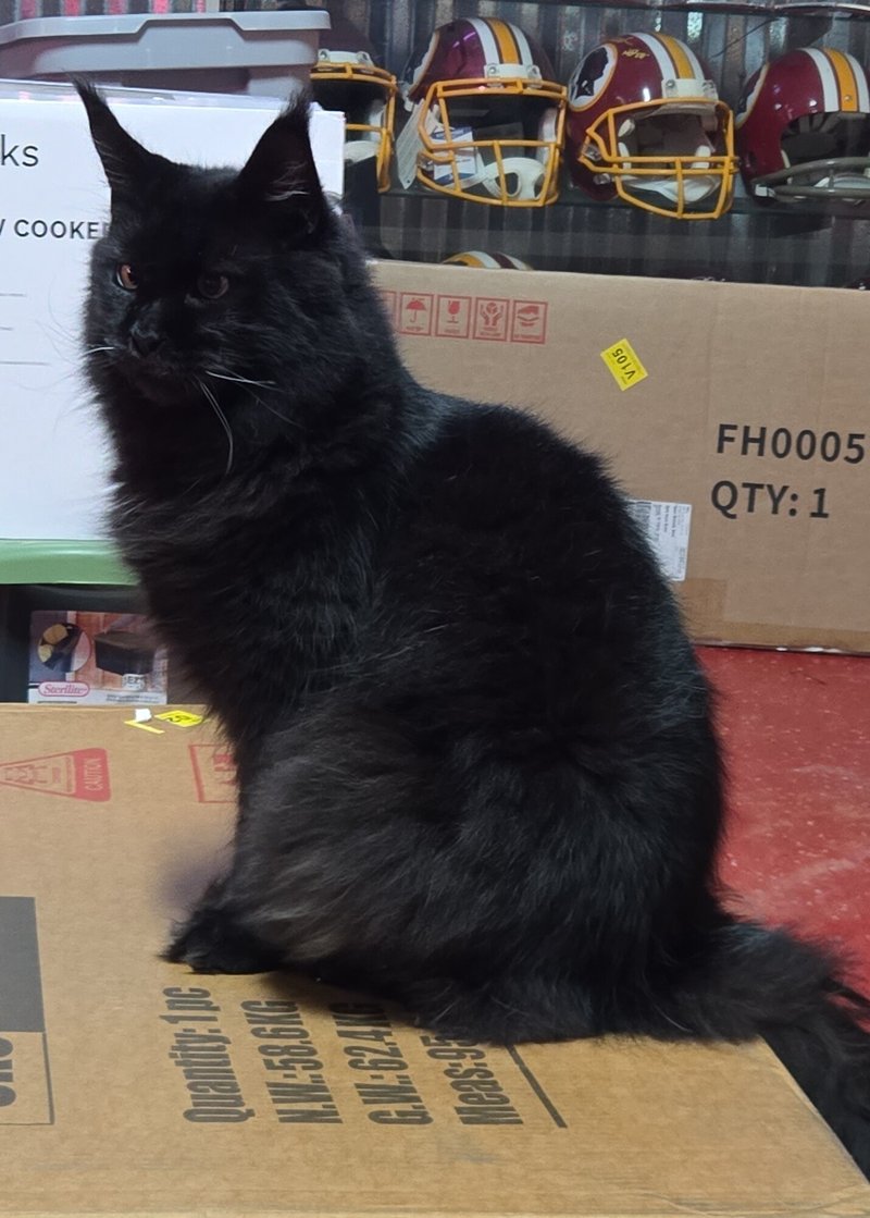 Dawn Michelle Ward - Photo 9