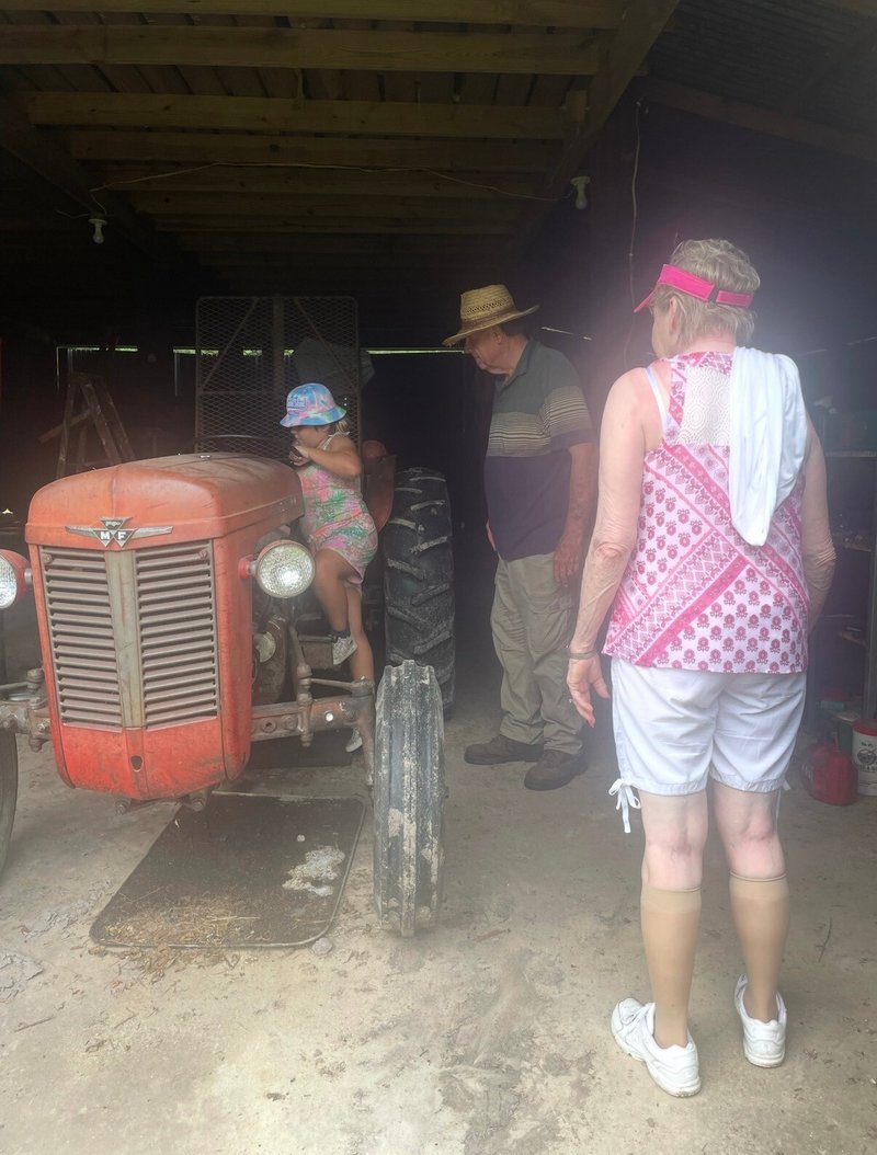 Sharon Lynn Rode Schleiffer - Photo 7