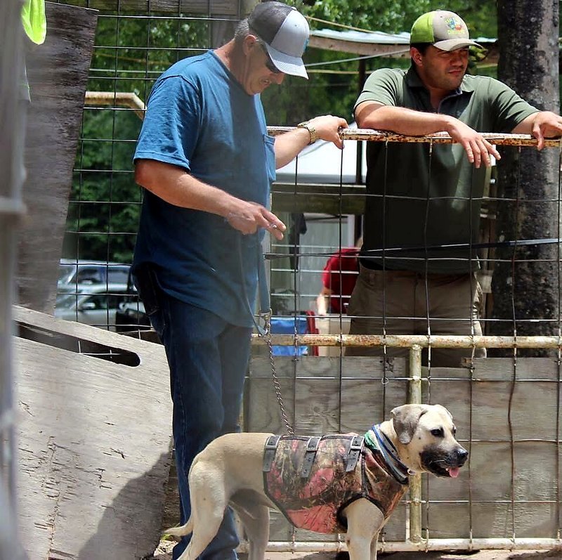 Jimmy Shannon Hill, Jr. - Photo 7