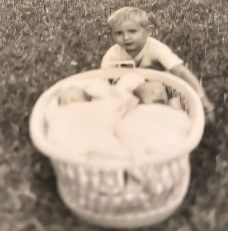 Gerald Lyn Simpson - Photo 4