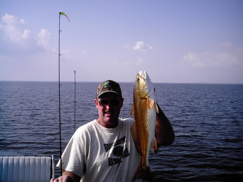 Terry A. Williams - Photo 9