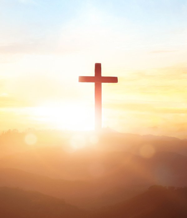 Suzie Cooper Bradshaw