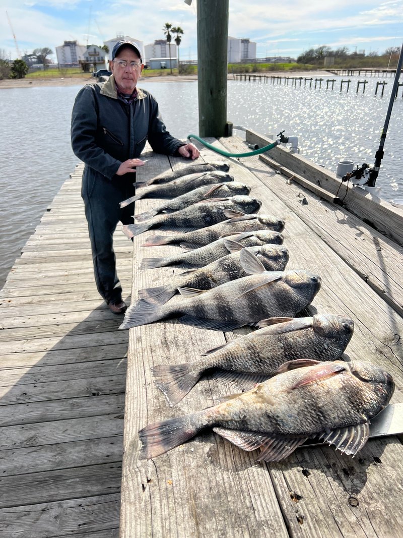 Matthew "Matt" John Orlando - Photo 3