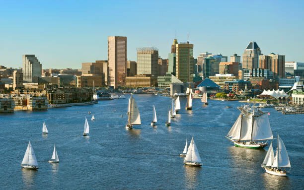 Jorge "Mike" Villarreal - Photo 8