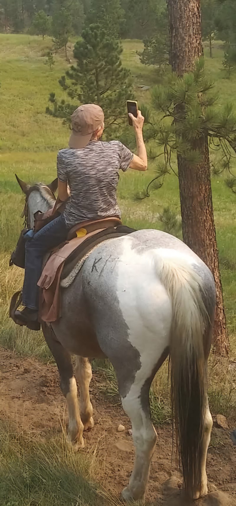 Sharon Sue Fawcett - Photo 4