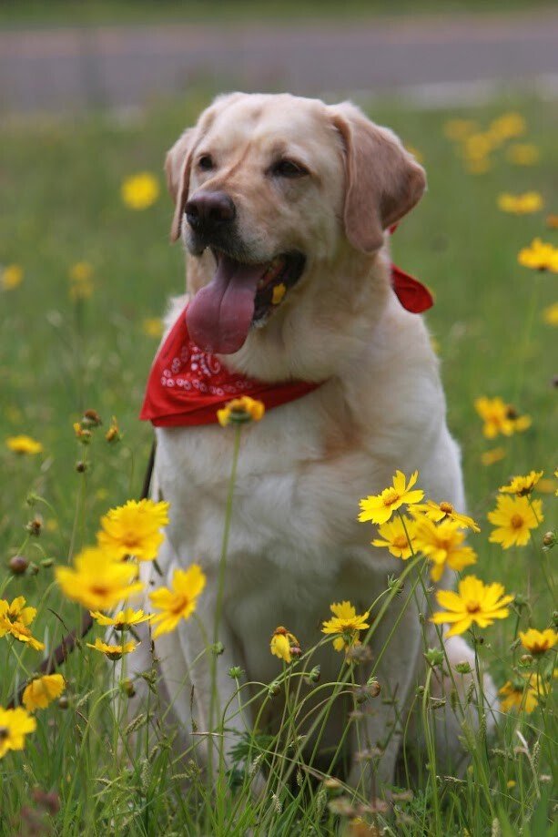 Michael G. Sheffield - Photo 2