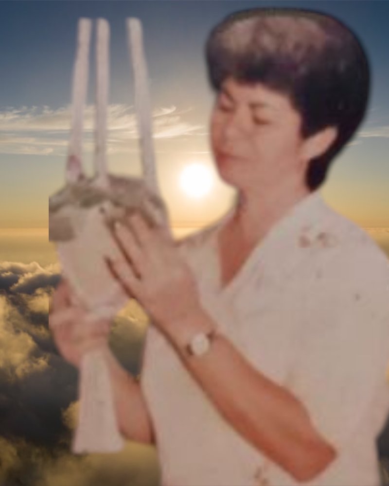 Irene Cupertina Diaz