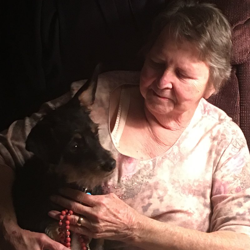 Joan Phillips - Photo 3