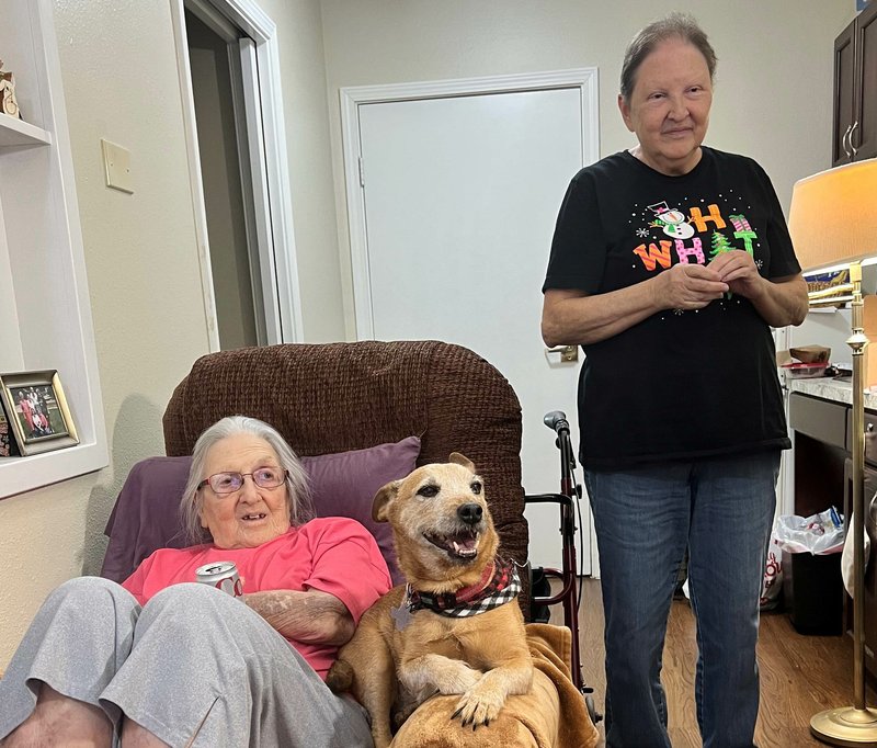 Brenda L. Davis - Photo 5