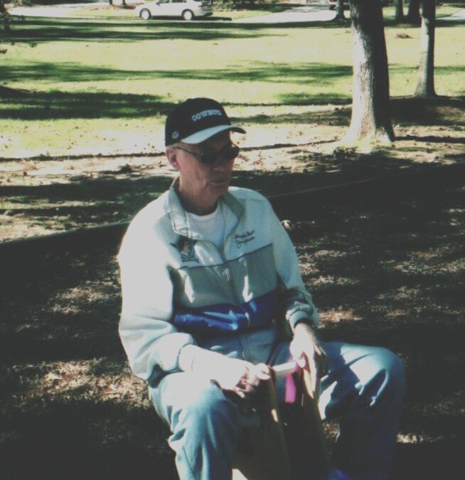 Gerald Wayne Vize - Photo 2