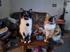 Raymond Lee Wactor - Photo 6