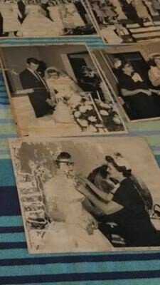 Shirley Ann McWilliams - Photo 4