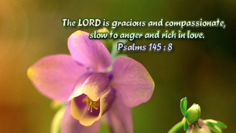 Edna Lee Wilkinson - Photo 3