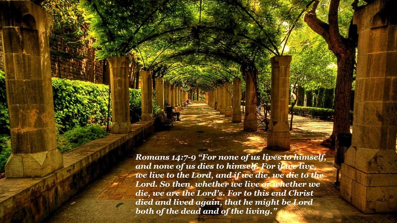 Edna Lee Wilkinson - Photo 2