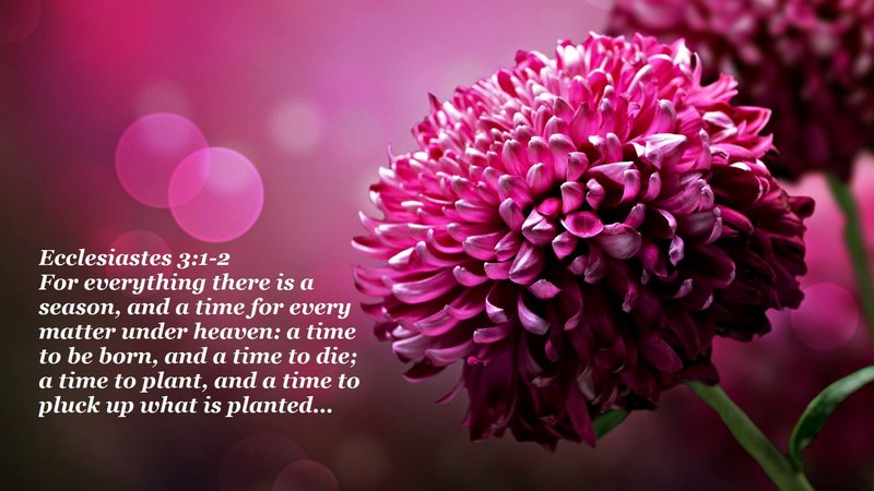 Edna Lee Wilkinson - Photo 5