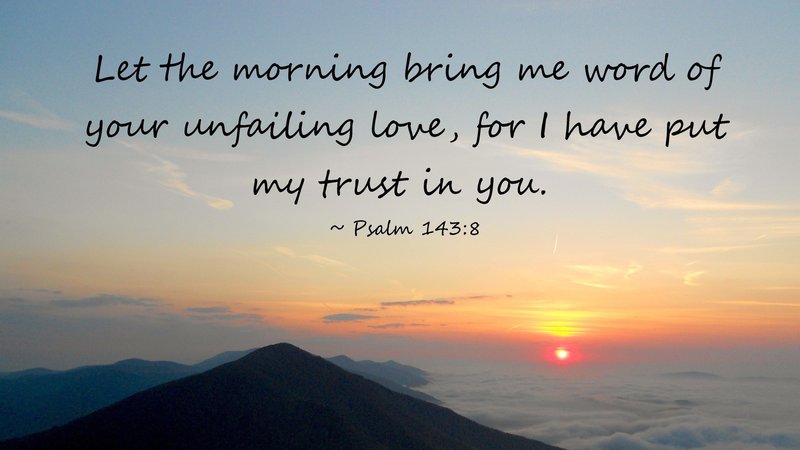 Edna Lee Wilkinson - Photo 6