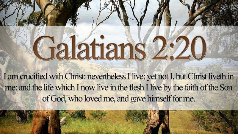 Edna Lee Wilkinson - Photo 7