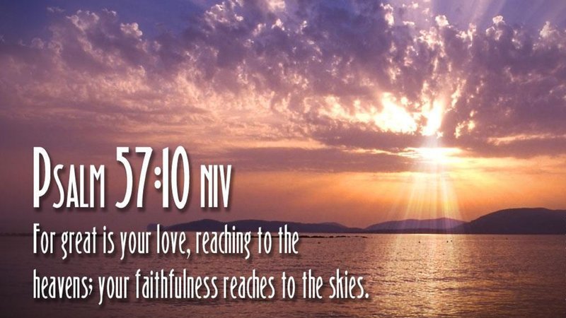 Edna Lee Wilkinson - Photo 10