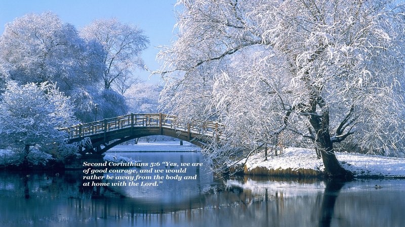 Edna Lee Wilkinson - Photo 8