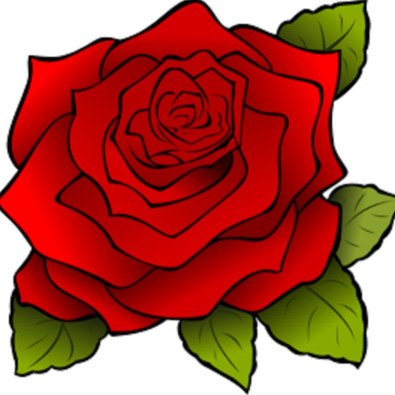 Scarlett Rose Collier - Photo 2