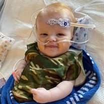 Nolan Paul Zahradnik