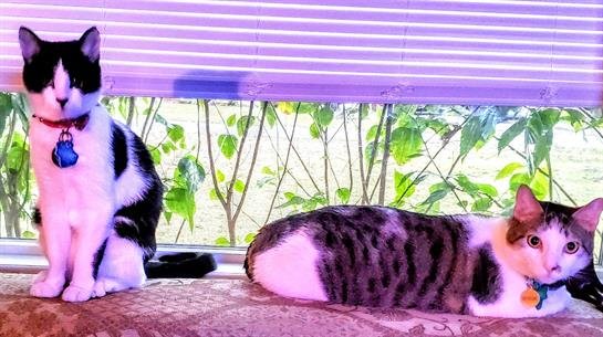 Helen "Dianne" Sims - Photo 5