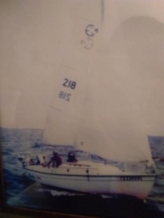 Helen "Dianne" Sims - Photo 10