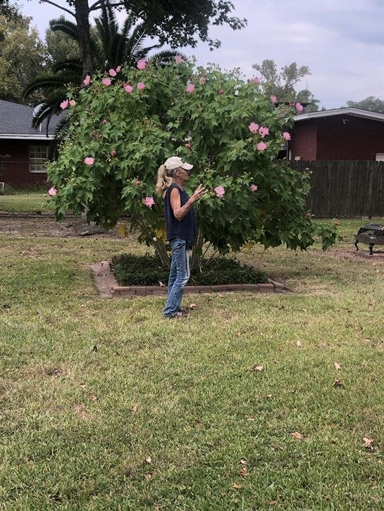 Helen "Dianne" Sims - Photo 9