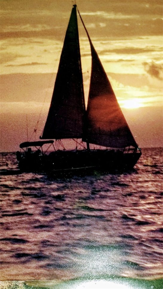 Helen "Dianne" Sims - Photo 8