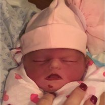 Jacie Ryan Collins - Photo 2