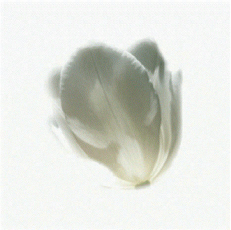 Linda Jo Gamez - Photo 2