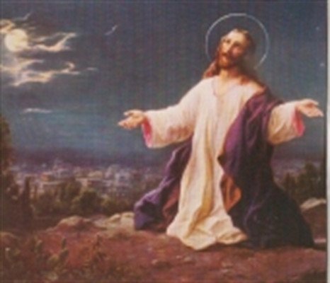 Rebecca Ann Duncan - Photo 2