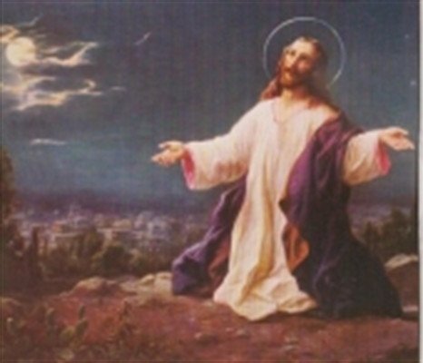 Rebecca Ann Duncan - Photo 2