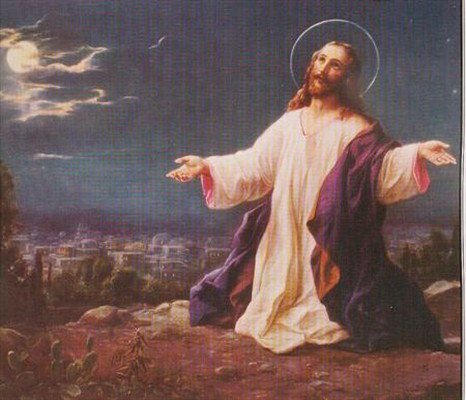 Rebecca Ann Duncan - Photo 3