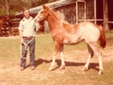 Harry Maurice Harbert - Photo 3