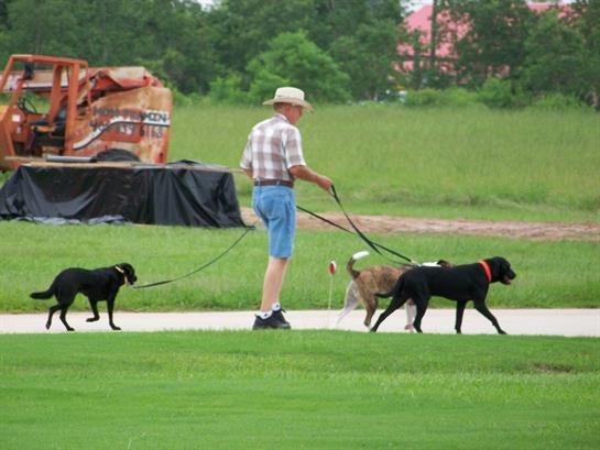 Charles Samuel "Sam" Steele - Photo 5