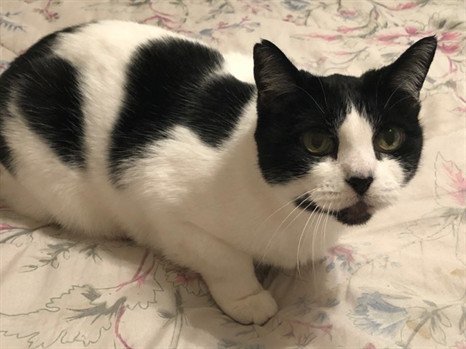 Christine "Chris" Barber - Photo 4