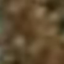 Sherri Buchanan Bradley - Photo 2