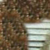 Sherri Buchanan Bradley - Photo 3