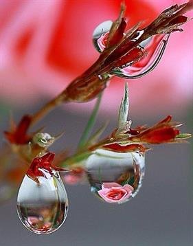 Billie Jean Buchanan - Photo 5