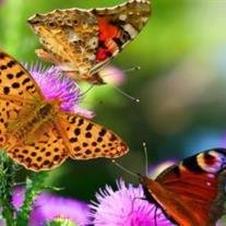 Glenda "Tiny" Nelson - Photo 3