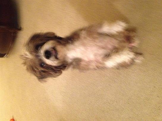 Larry Lee Maddox - Photo 2