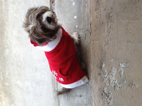 Larry Lee Maddox - Photo 7