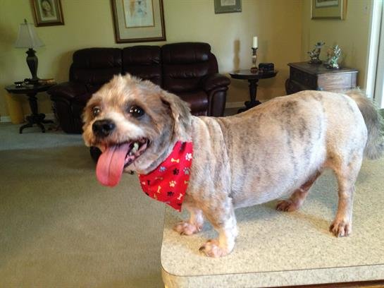 Larry Lee Maddox - Photo 9