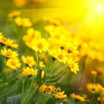 Lenora "Nita" Green - Photo 4